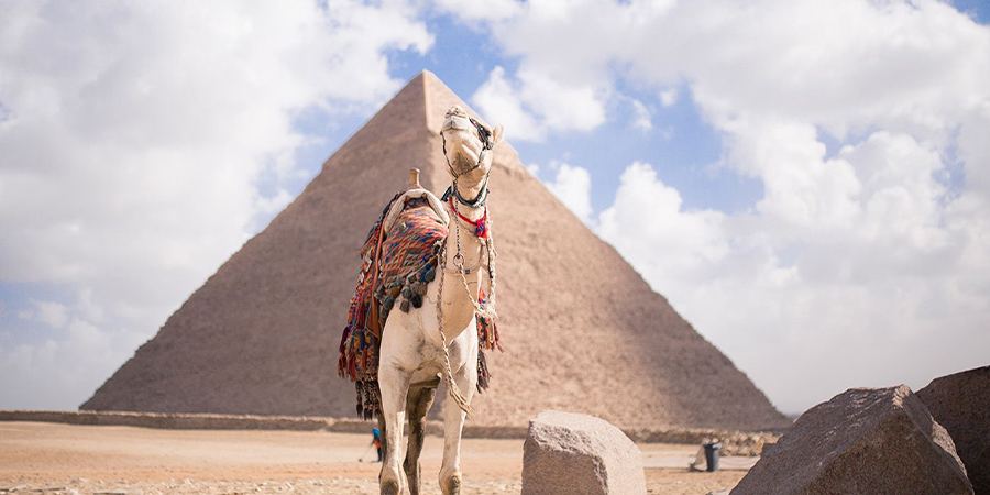 Cairo shore excursion from Ain El Sokhna port with a view of the Pyramids