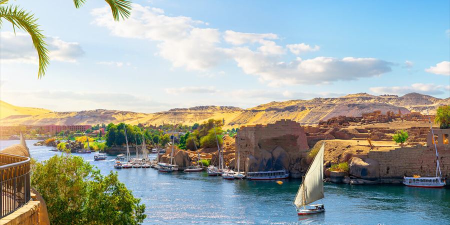 Unique activities you can only do in Egypt