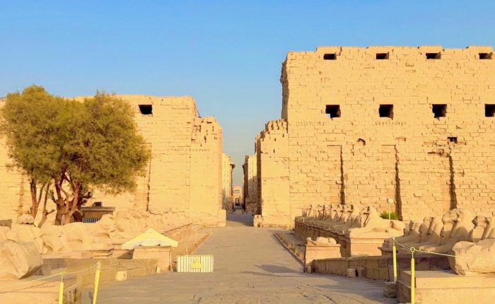 Luxor Day Tour with Karnak Temple, Valley of the Kings and Hatshepsut Temple