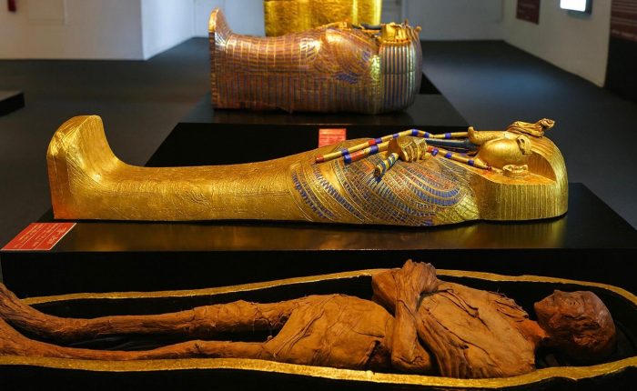 Luxor Museum and Mummification Museum Tour – royal statues and mummification tools on display