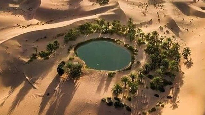 Bahariya Oasis and White Desert
